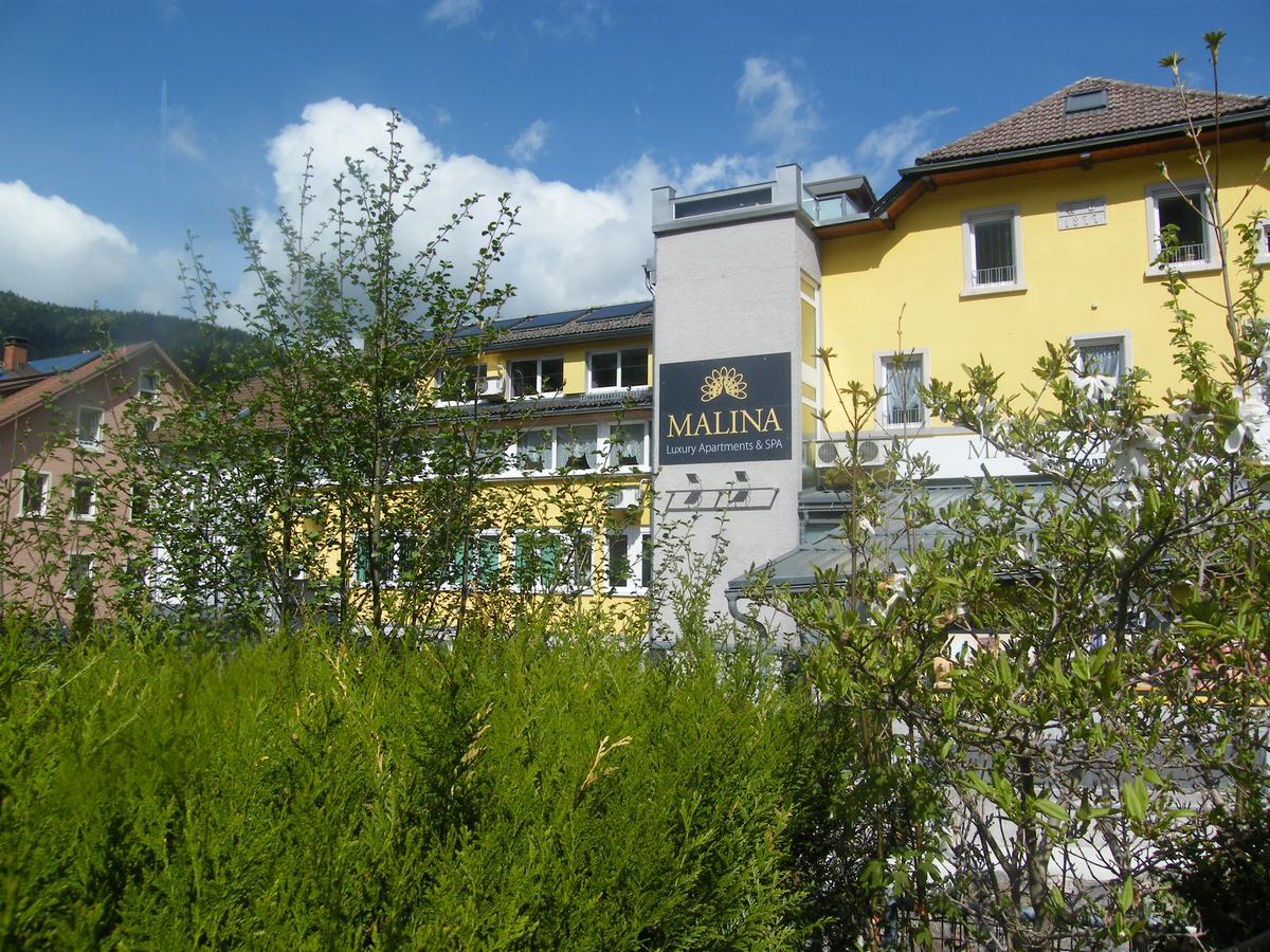 Malina Luxury Apartments And Spa Todtnau Bagian luar foto
